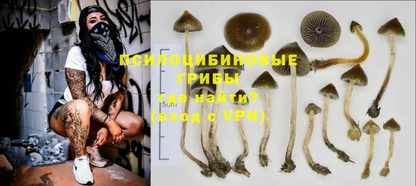 крисы Майский