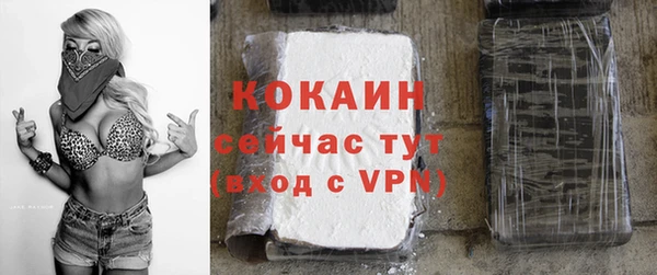 кокс Магас