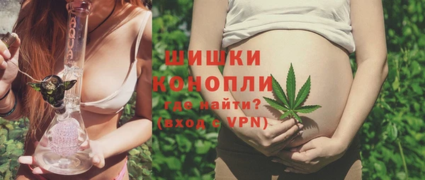 крисы Майский