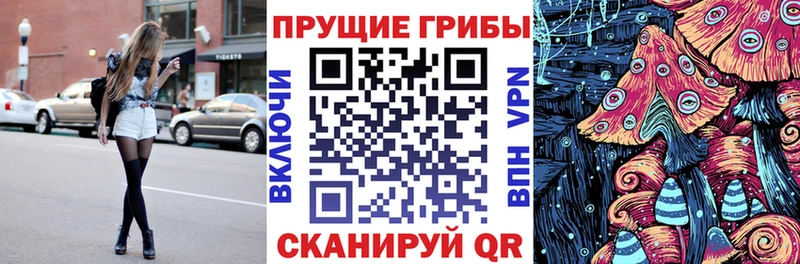 купить наркотики цена  Сычёвка  кракен как войти  Псилоцибиновые грибы прущие грибы 